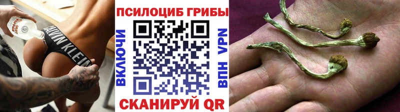 Галлюциногенные грибы Psilocybe Артёмовский